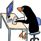 Image of Linux Penguine and a PC - promoting Linux VPS Thai OS Options